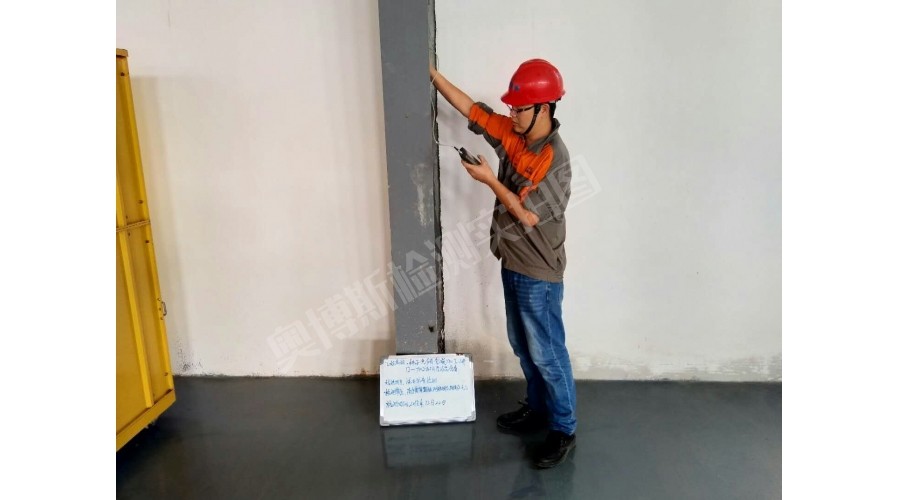 橫縣，萬川種業(yè)有限公司生產(chǎn)車間及成品庫涂層厚度檢測